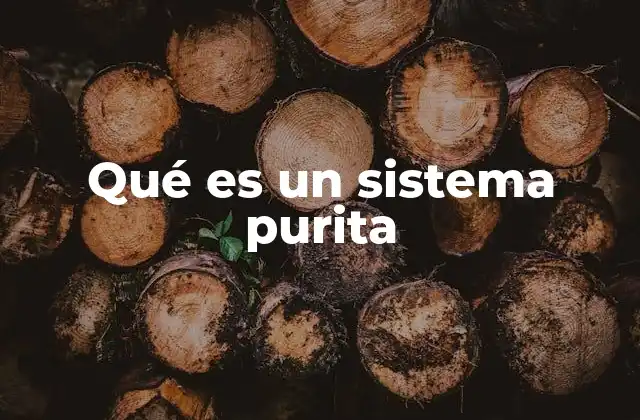 Qué es un Sistema Purita