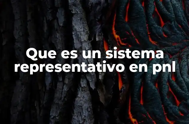 Que es un Sistema Representativo en Pnl