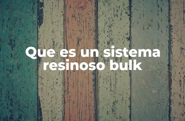 Que es un Sistema Resinoso Bulk