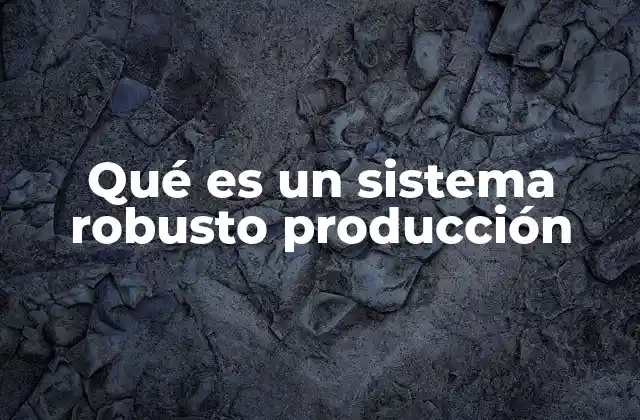 Qué es un Sistema Robusto Producción