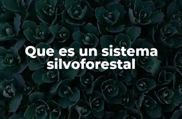 Que es un Sistema Silvoforestal
