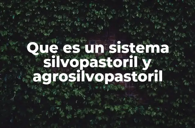 Que es un Sistema Silvopastoril y Agrosilvopastoril