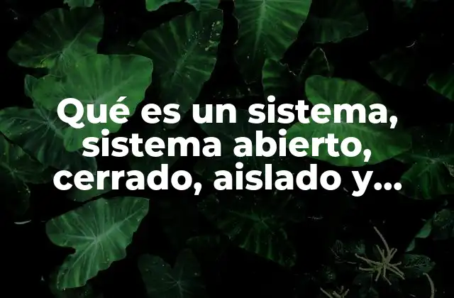 Qué es un Sistema, Sistema Abierto, Cerrado, Aislado y Adiabático