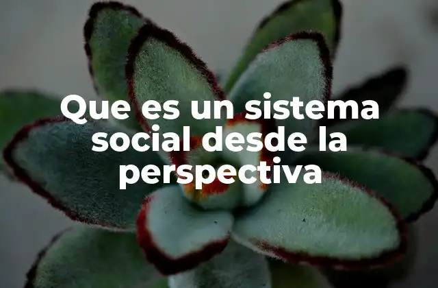 Que es un Sistema Social desde la Perspectiva