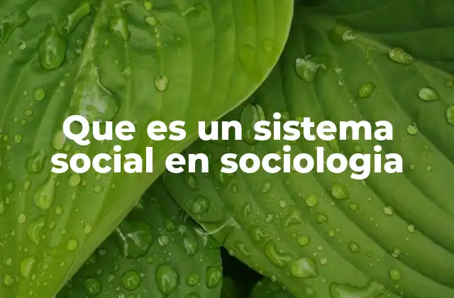 Que es un Sistema Social en Sociologia