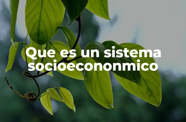 Que es un Sistema Socioecononmico