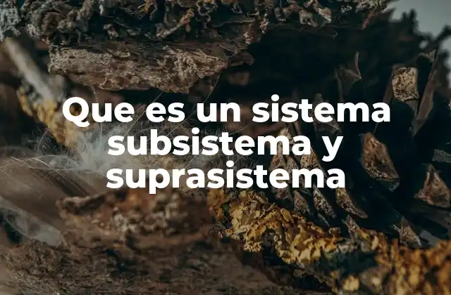 Que es un Sistema Subsistema y Suprasistema