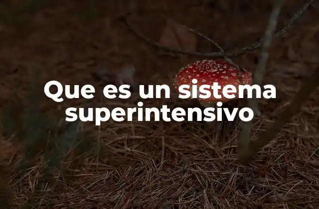 Que es un Sistema Superintensivo