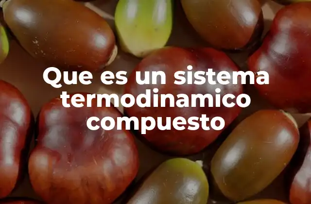 Que es un Sistema Termodinamico Compuesto