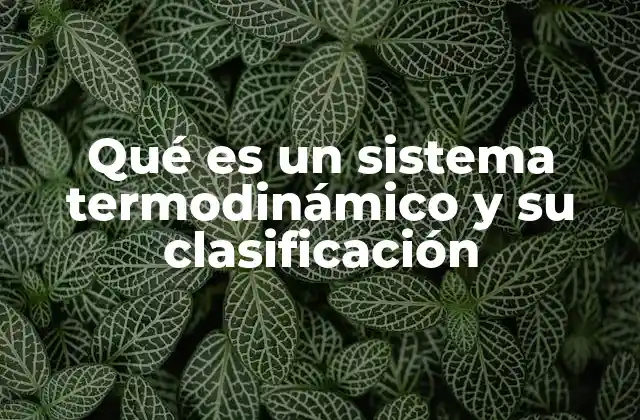 Qué es un Sistema Termodinámico y Su Clasificación