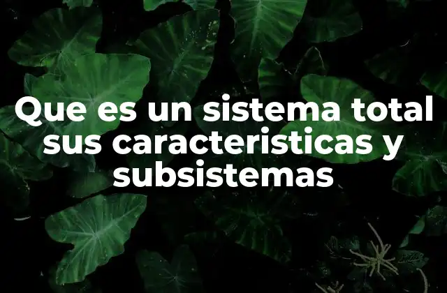 Que es un Sistema Total Sus Caracteristicas y Subsistemas