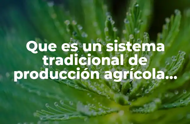 Que es un Sistema Tradicional de Producción Agrícola Desarrollo 2 El papel de las comunidades rurales en la evolución de los sistemas agrícolas