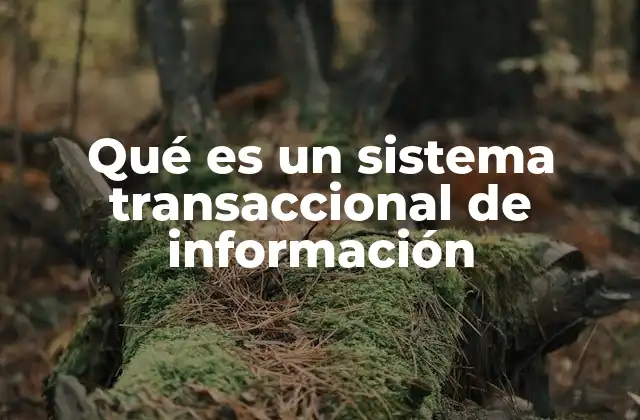 Qué es un Sistema Transaccional de Información