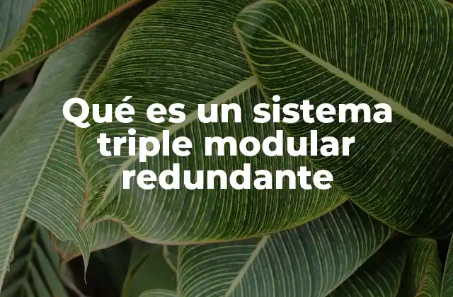 Qué es un Sistema Triple Modular Redundante