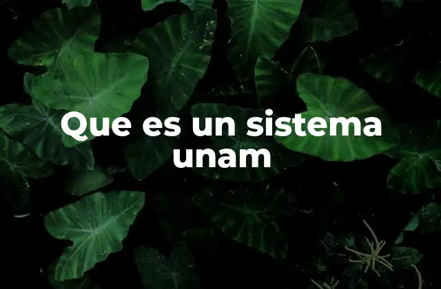 Que es un Sistema Unam