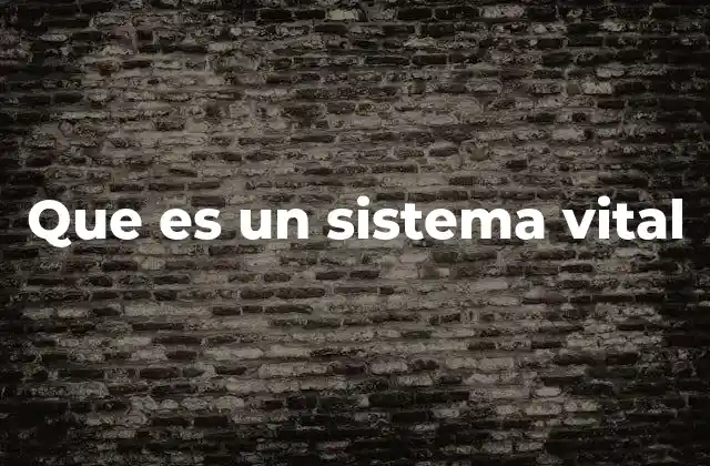 Que es un Sistema Vital