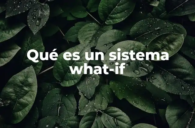 Qué es un Sistema What-if
