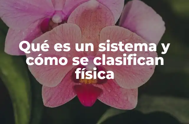 Qué es un Sistema y Cómo Se Clasifican Física