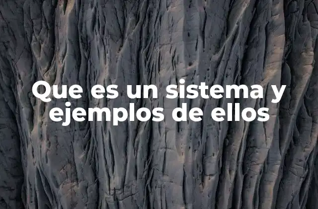 Que es un Sistema y Ejemplos de Ellos