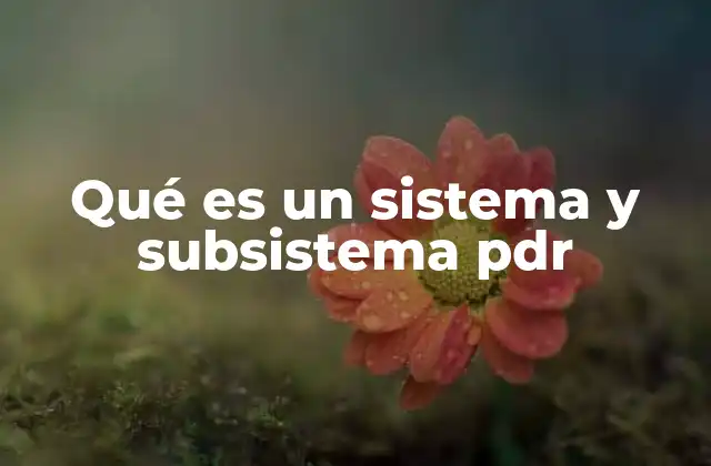 Qué es un Sistema y Subsistema Pdr