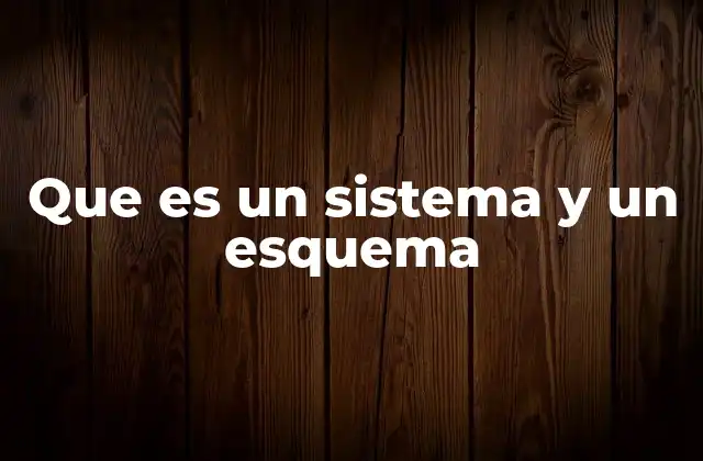 Que es un Sistema y un Esquema