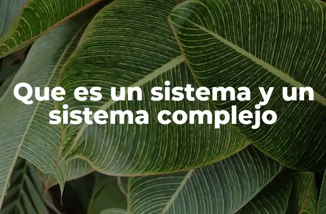 Comprendiendo la estructura y dinámica de los sistemas
