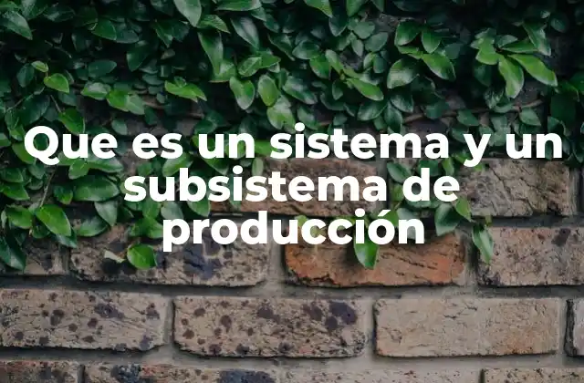 Que es un Sistema y un Subsistema de Producción