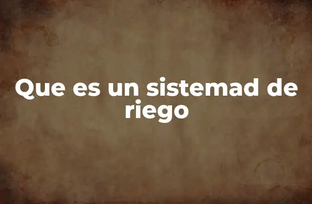 Que es un Sistemad de Riego 2 La importancia de los sistemas de riego en la agricultura