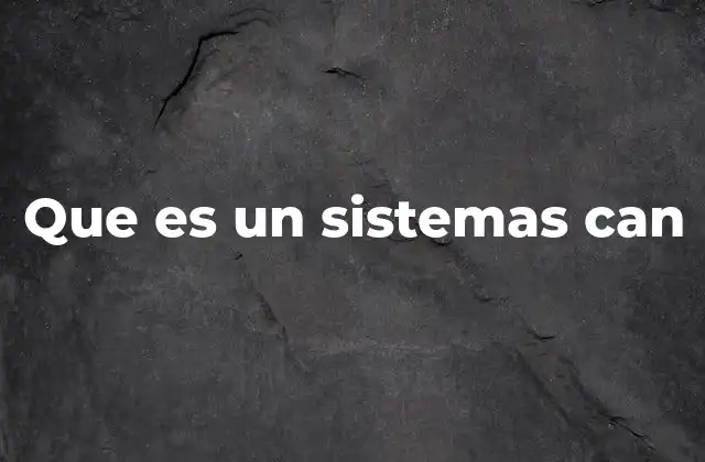 Que es un Sistemas Can