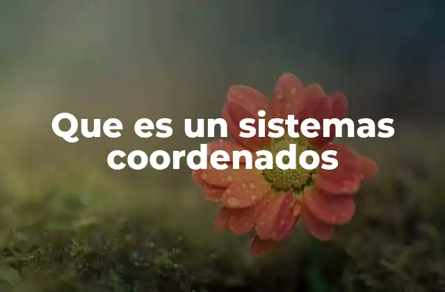 Que es un Sistemas Coordenados