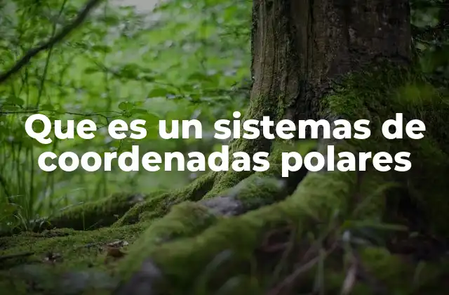 Que es un Sistemas de Coordenadas Polares