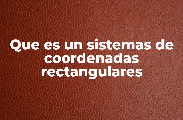 Que es un Sistemas de Coordenadas Rectangulares