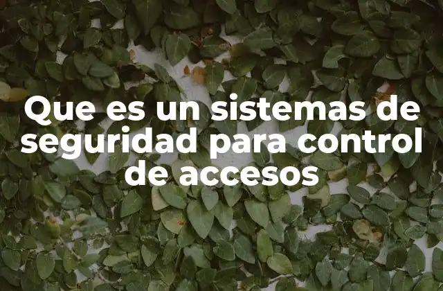 Que es un Sistemas de Seguridad para Control de Accesos