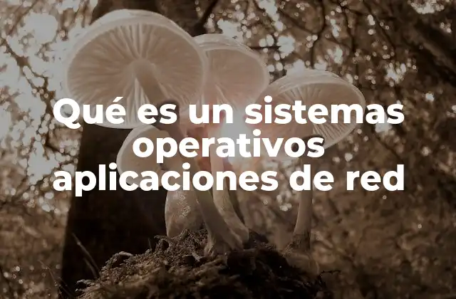 Qué es un Sistemas Operativos Aplicaciones de Red
