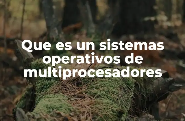 Que es un Sistemas Operativos de Multiprocesadores