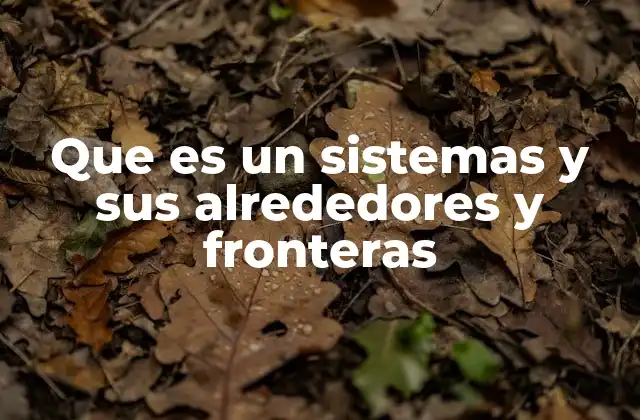 Que es un Sistemas y Sus Alrededores y Fronteras