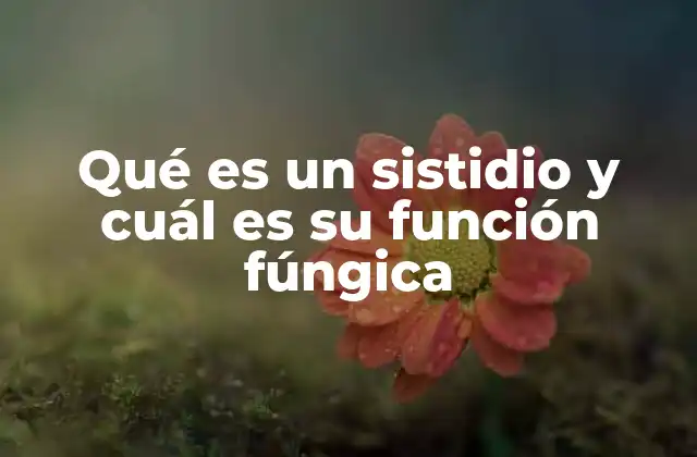 Qué es un Sistidio y Cuál es Su Función Fúngica