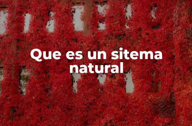 Que es un Sitema Natural