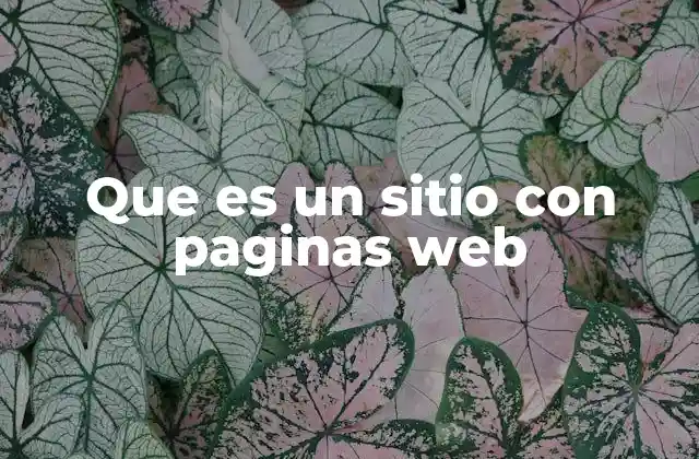 Que es un Sitio con Paginas Web