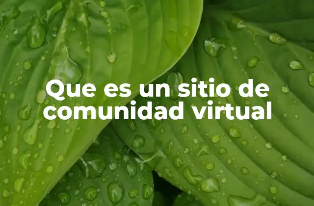 La importancia de las comunidades digitales en el entorno moderno