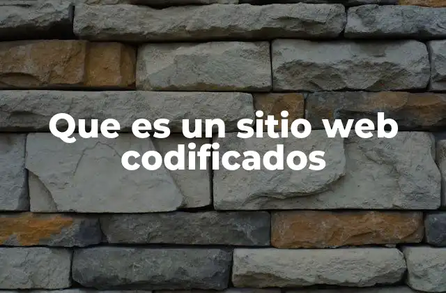 Que es un Sitio Web Codificados