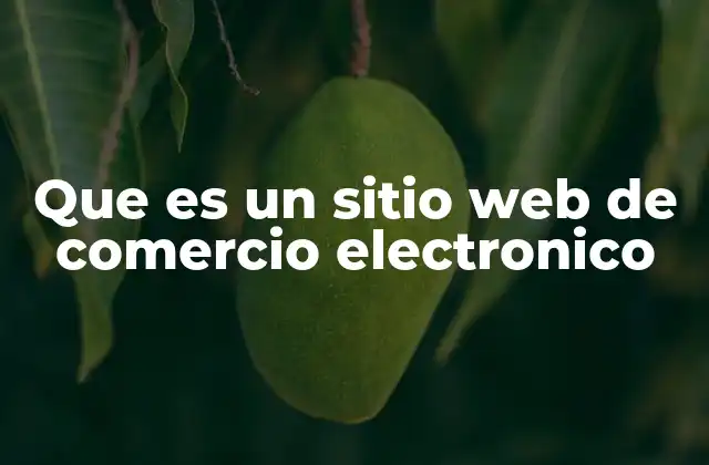 Que es un Sitio Web de Comercio Electronico