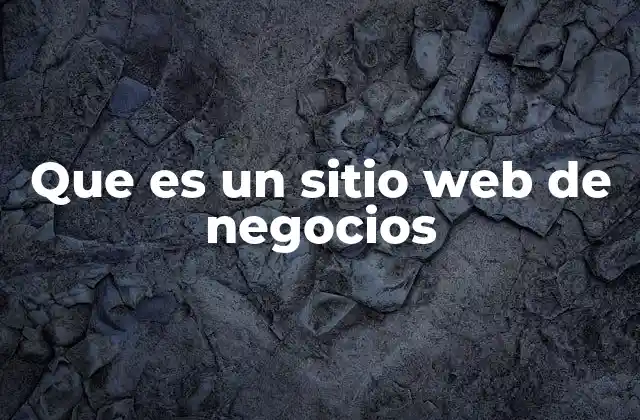 Que es un Sitio Web de Negocios