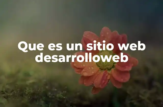 Que es un Sitio Web Desarrolloweb