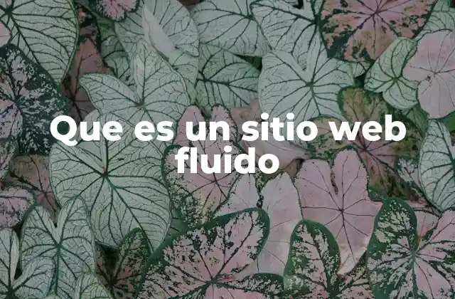 Que es un Sitio Web Fluido 2 Cómo se logra un sitio web fluido