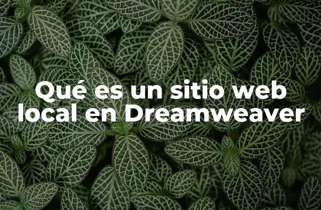 Qué es un Sitio Web Local en Dreamweaver 2 Cómo Dreamweaver organiza los archivos de un sitio web local