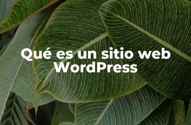 Qué es un Sitio Web WordPress