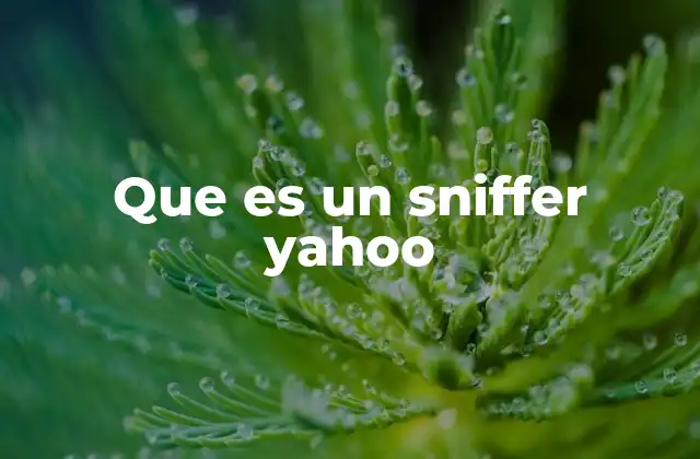 Que es un Sniffer Yahoo