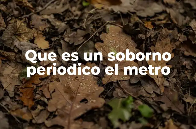 Que es un Soborno Periodico el Metro