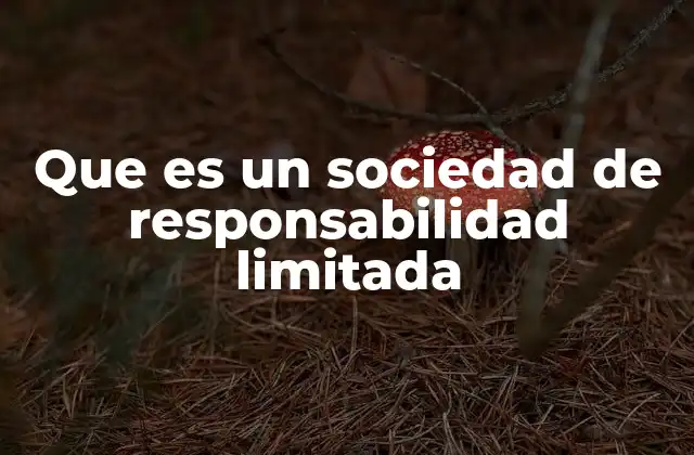 Que es un Sociedad de Responsabilidad Limitada